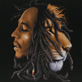 Bob Marley - Lion Head Small Canvas Print
